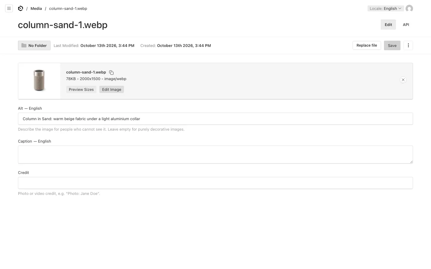 A media item: the file, its alt text, caption and credit, and Replace file at the top